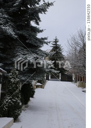 The alley is covered with fresh snow. The alley is covered with fresh snow. 138642550
