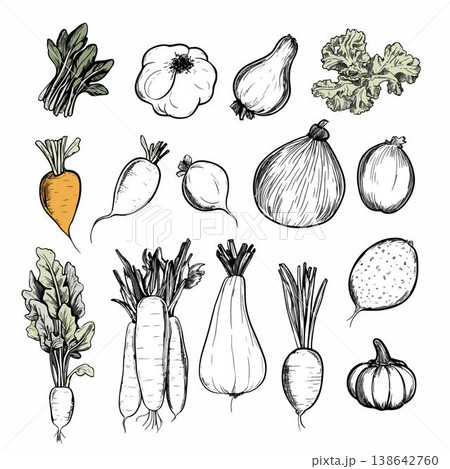 set of vegetables 138642760