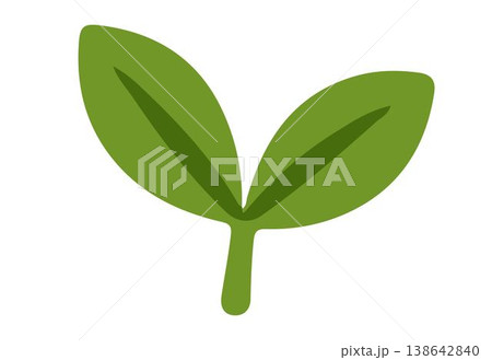 green leaves of the tree green leaves of the tree 138642840