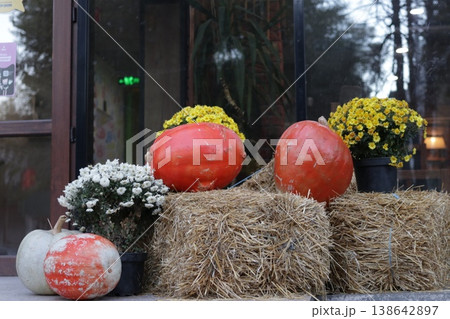 Colorful pumpkins create a cozy atmosphere. Colorful pumpkins create a cozy atmosphere. 138642897