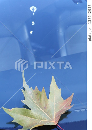 Autumn leaf on a car windshield. Autumn leaf on a car windshield. 138642938