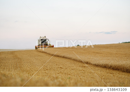 Industrial combine harvester harvests wheat cereals. Grain harvester. Time to harvest! 138643109