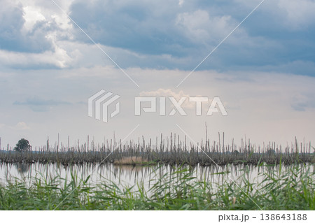 Usedom 138643188
