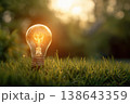 Glowing lightbulb in moss forest setting background. Warm light bulb, symbolizing sustainable energy innovation. Environmentally natural landscape. Eco-friendly ideas. Green business. ESG concept 138643359