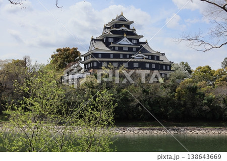 岡山城(天守閣) 岡山城(天守閣) 138643669