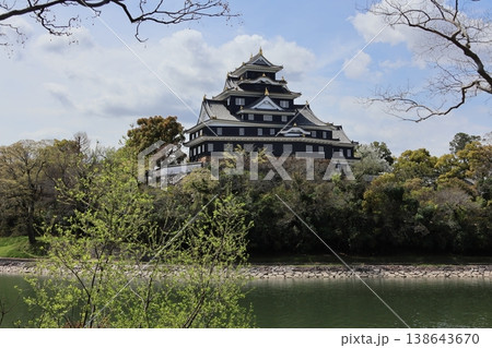岡山城(天守閣) 岡山城(天守閣) 138643670