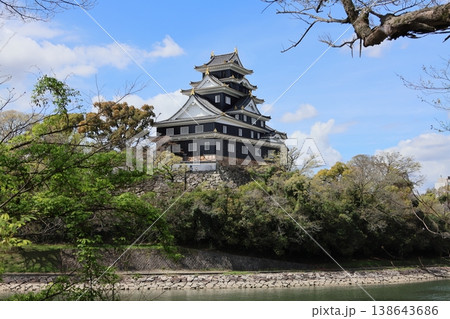 桜に囲まれた岡山城天守閣 桜に囲まれた岡山城天守閣 138643686