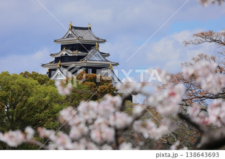桜に囲まれた岡山城天守閣 138643693