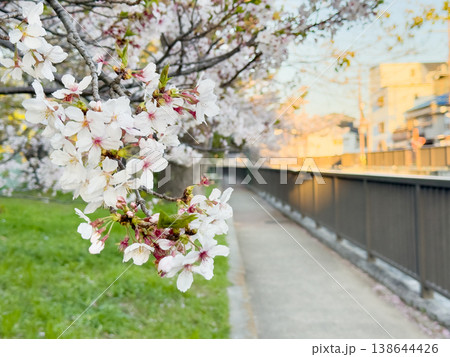 桜のある風景 138644426