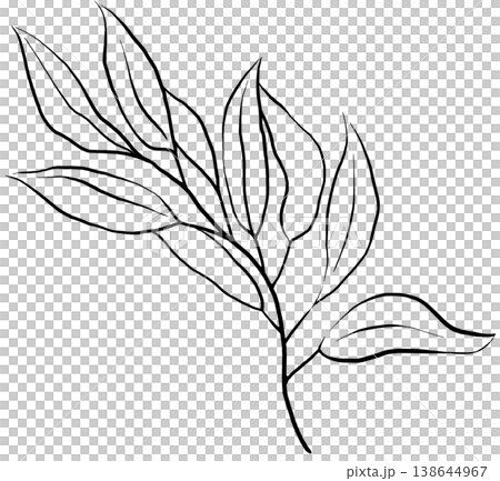 Hand drawn botanical twig with leaves, black line art isolated illustration. Design outline element Hand drawn botanical twig with leaves, black line art isolated illustration. Design outline element 138644967