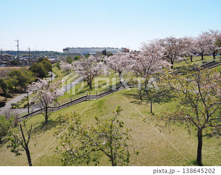 市原市ちはら台公園 市原市ちはら台公園 138645202