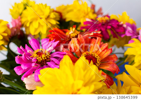 Enhance your home with a lively summer bouquet of Zinnia and Rudbeckia Goldquelle, offering a fresh, colorful display and seasonal elegance 138645399