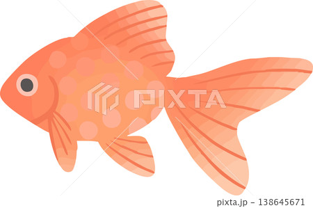 琉金の金魚イラスト フラットベクター｜和風の観賞魚素材（白背景・シンプル） 138645671
