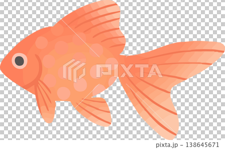 琉金の金魚イラスト フラットベクター｜和風の観賞魚素材（白背景・シンプル） 138645671