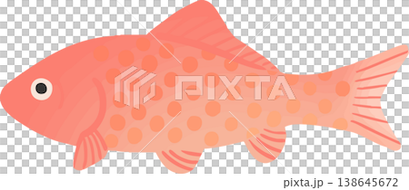 和金の金魚イラスト フラットベクター｜和風の観賞魚素材（白背景・シンプル） 138645672