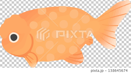 Ranchu goldfish illustration, flat vector | Japanese-style ornamental fish material (white background, simple) 138645674