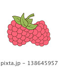 Two raspberries with green leaves are shown. Hand drawn vector illustration in flat simple cartoon style. Fresh berry fruit ingredient. Suitable for packaging, menu design, labels, stickers, print and 138645957