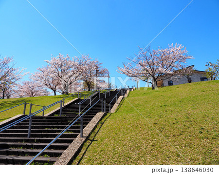 市原市ちはら台公園 市原市ちはら台公園 138646030