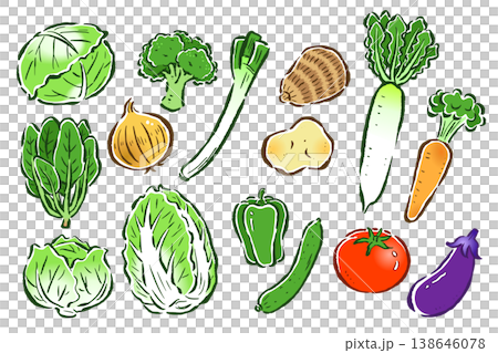 定番の野菜 指定野菜15品目セット 定番の野菜 指定野菜15品目セット 138646078
