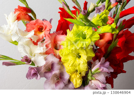 A group of mixed gladiolus flowers in shades of red, white, yellow, and purple stands in a vase. The flowers are fresh and arranged closely, creating a colorful bouquet 138646904