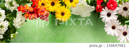 A beautiful array of spring flowers in various colors adorns a balcony, bringing life and brightness to the outdoor area. The flowers add joy and warmth to the setting., banner A beautiful array of spring flowers in various colors adorns a balcony, bringing life and brightness to the outdoor area. The flowers add joy and warmth to the setting., banner 138647061
