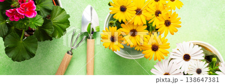 Colorful spring flowers in pots brighten a home balcony. Gardening tools are neatly arranged, ready for planting. This cheerful setup invites joy and beauty to the outdoor space, banner 138647381