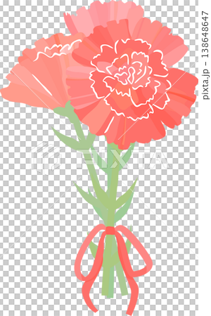 紅色康乃馨花束的向量插圖 紅色康乃馨花束的向量插圖 138648647