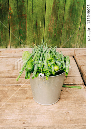 Fresh green onions and cucumber filling a metal bucket, standing on weathered wooden boards, showing organic harvest from garden. Growing organic produce in the garden, conscious living Fresh green onions and cucumber filling a metal bucket, standing on weathered wooden boards, showing organic harvest from garden. Growing organic produce in the garden, conscious living 138649008