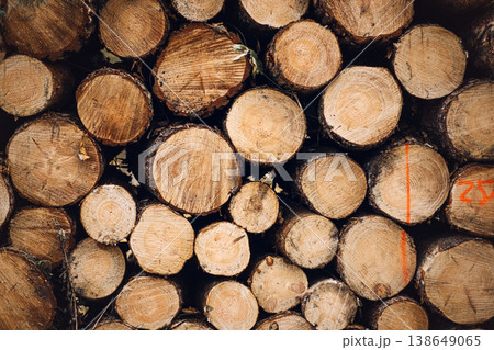 Stacked wooden logs with cut ends visible show growth rings and orange markings. forest resource depletion, certified timber production, forest industry sustainability. 138649065