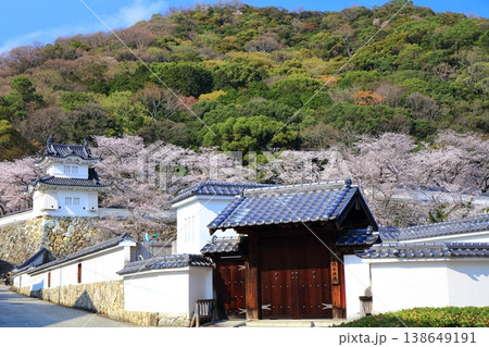 【兵庫県】満開の桜と龍野城の隅櫓 138649191