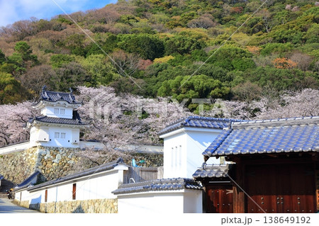 【兵庫県】満開の桜と龍野城の隅櫓 138649192