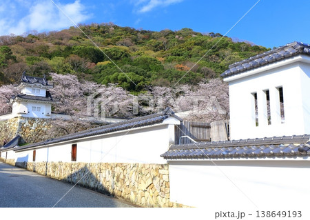 【兵庫県】満開の桜と龍野城の隅櫓 【兵庫県】満開の桜と龍野城の隅櫓 138649193
