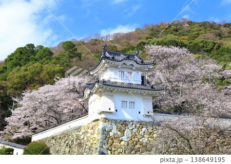 【兵庫県】満開の桜と龍野城の隅櫓 138649195