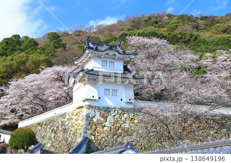 【兵庫県】満開の桜と龍野城の隅櫓 138649196