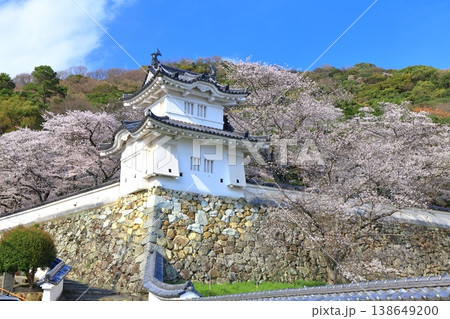 【兵庫県】満開の桜と龍野城の隅櫓 【兵庫県】満開の桜と龍野城の隅櫓 138649200