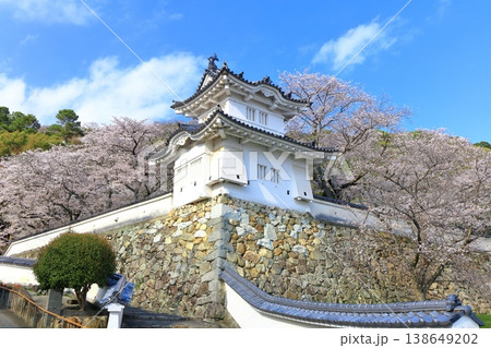 【兵庫県】満開の桜と龍野城の隅櫓 【兵庫県】満開の桜と龍野城の隅櫓 138649202