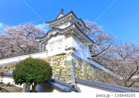 【兵庫県】満開の桜と龍野城の隅櫓 138649205