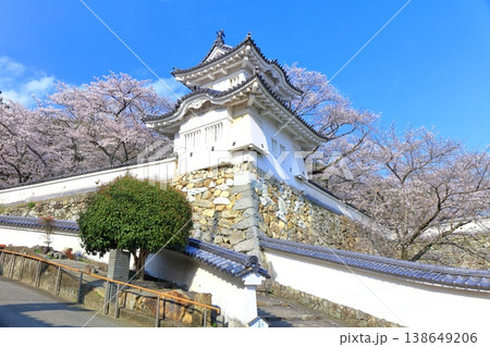 【兵庫県】満開の桜と龍野城の隅櫓 138649206