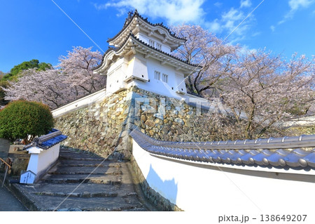 【兵庫県】満開の桜と龍野城の隅櫓 138649207