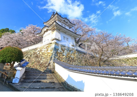 【兵庫県】満開の桜と龍野城の隅櫓 【兵庫県】満開の桜と龍野城の隅櫓 138649208