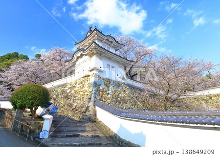 【兵庫県】満開の桜と龍野城の隅櫓 138649209