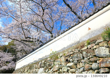 【兵庫県】満開の桜と龍野城 【兵庫県】満開の桜と龍野城 138649210