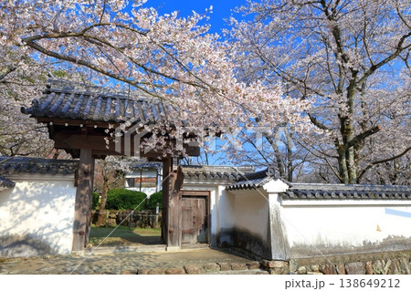 【兵庫県】満開の桜と龍野城の西門 138649212