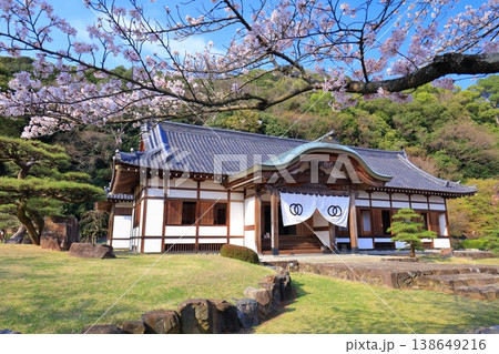 【兵庫県】満開の桜と龍野城の本丸御殿 138649216