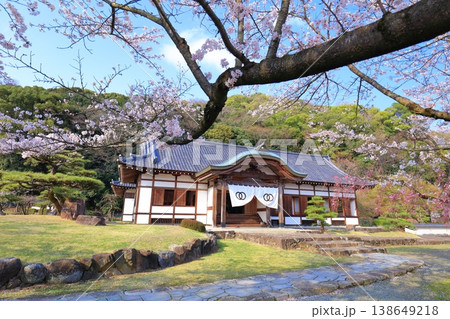 【兵庫県】満開の桜と龍野城の本丸御殿 【兵庫県】満開の桜と龍野城の本丸御殿 138649218