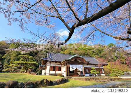 【兵庫県】満開の桜と龍野城の本丸御殿 138649220