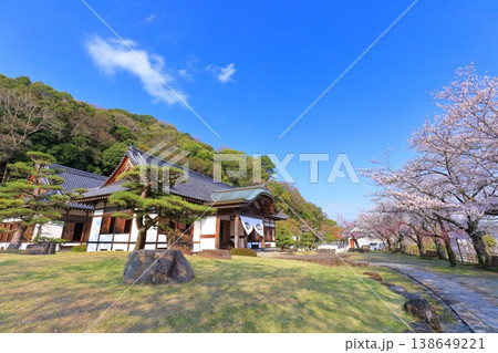 【兵庫県】満開の桜と龍野城の本丸御殿 138649221