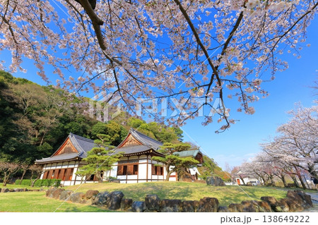 【兵庫県】満開の桜と龍野城の本丸御殿 138649222