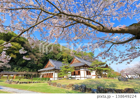 【兵庫県】満開の桜と龍野城の本丸御殿 【兵庫県】満開の桜と龍野城の本丸御殿 138649224