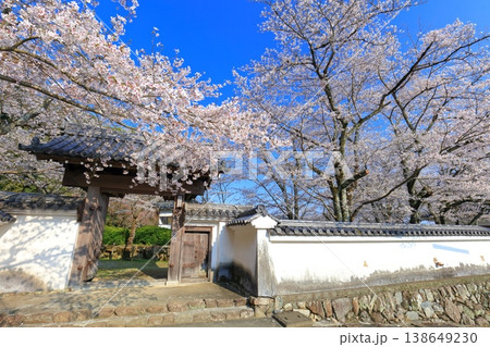【兵庫県】満開の桜と龍野城の西門 【兵庫県】満開の桜と龍野城の西門 138649230